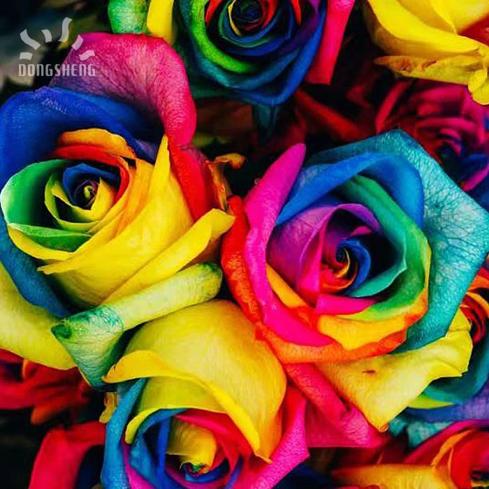 High Resolution Carpet bright